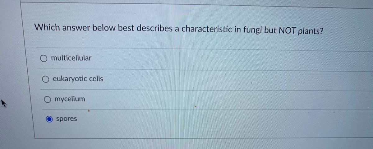 Which answer below best describes a characteristic in fungi but NOT plants?
O multicellular
eukaryotic cells
mycelium
O spores
