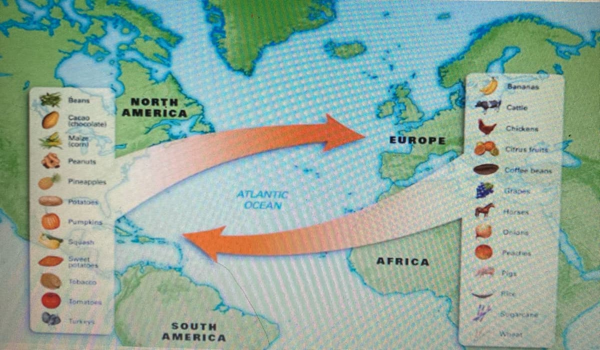 Bananas
Cattie
Deans
NORTH
AMERICA
Cacao
chocolate)
Chickens
EUROPE
Citrus fruit
Maie
icorm
Peanuts
Coffee beas
Pineapples
drapes
ATLANTIC
OCEAN
Potatoes
Harses
Pumpkins
Orians
Squesh
Peades
AFRICA
Sweet
potatoes
Pigs
Tobacco
Tomatoes
Scoarcane
SOUTH
AMERICA
