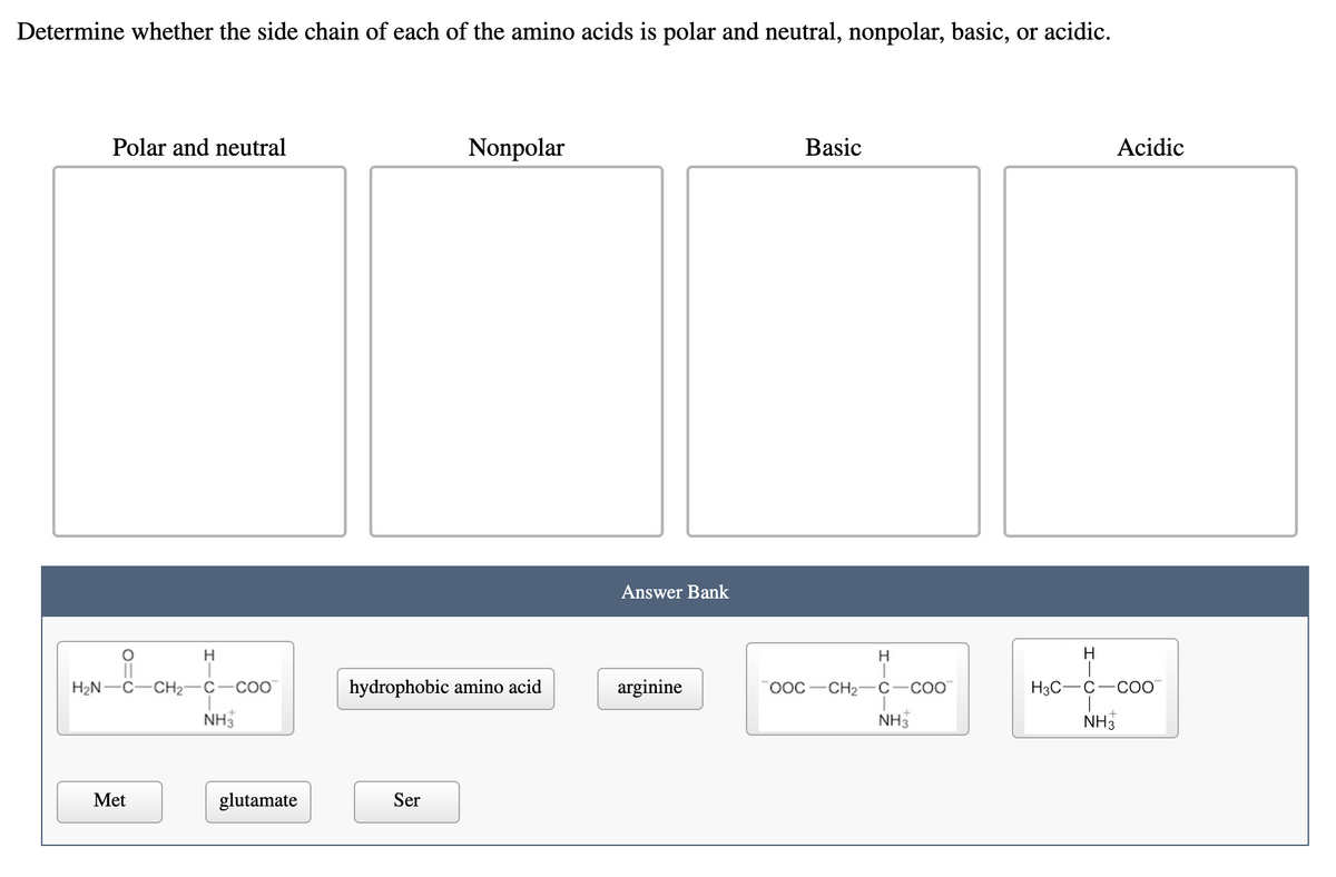 Determine whether the side chain of each of the amino acids is polar and neutral, nonpolar, basic, or acidic.
Polar and neutral
Nonpolar
Basic
Acidic
Answer Bank
H
H
H
H2N-C
CH2
С —СОО
hydrophobic amino acid
arginine
ООС — СН2
COO
H3C-C-COO
NH3
NH3
NH3
Met
glutamate
Ser
