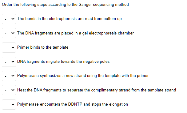 Order the following steps according to the Sanger sequencing method
The bands in the electrophoresis are read from bottom up
The DNA fragments are placed in a gel electrophoresis chamber
v Primer binds to the template
v DNA fragments migrate towards the negative poles
v Polymerase synthesizes a new strand using the template with the primer
Heat the DNA fragments to separate the complimentary strand from the template strand
Polymerase encounters the DDNTP and stops the elongation
