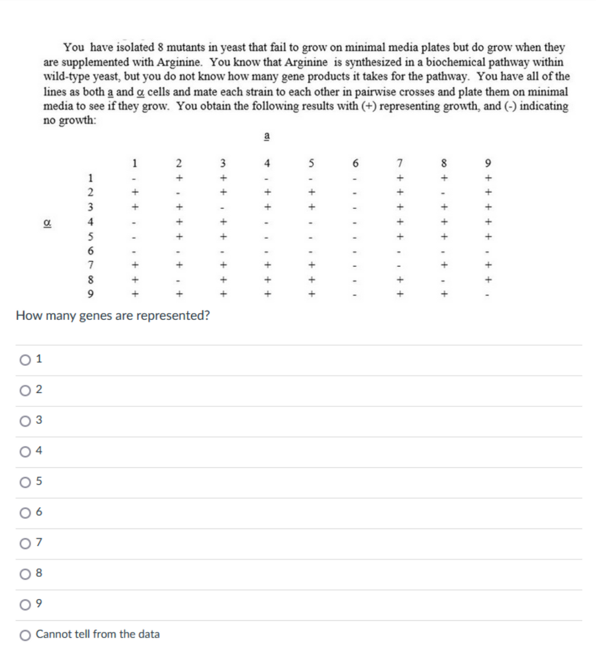 You have isolated 8 mutants in yeast that fail to grow on minimal media plates but do grow when they
are supplemented with Arginine. You know that Arginine is synthesized in a biochemical pathway within
wild-type yeast, but you do not know how many gene products it takes for the pathway. You have all of the
lines as both a and a cells and mate each strain to each other in pairwise crosses and plate them on minimal
media to see if they grow. You obtain the following results with (+) representing growth, and (-) indicating
no growth:
a
1
5
1
a
4
5
6
7
8
How many genes are represented?
O 1
3
7
O Cannot tell from the data
a + + + + + • + + i
0 +, + + + • + +
7 + + + + + , . + +
+ + +
m + + + + + + +
2 + + + + + i +
-I + + . . + + +
