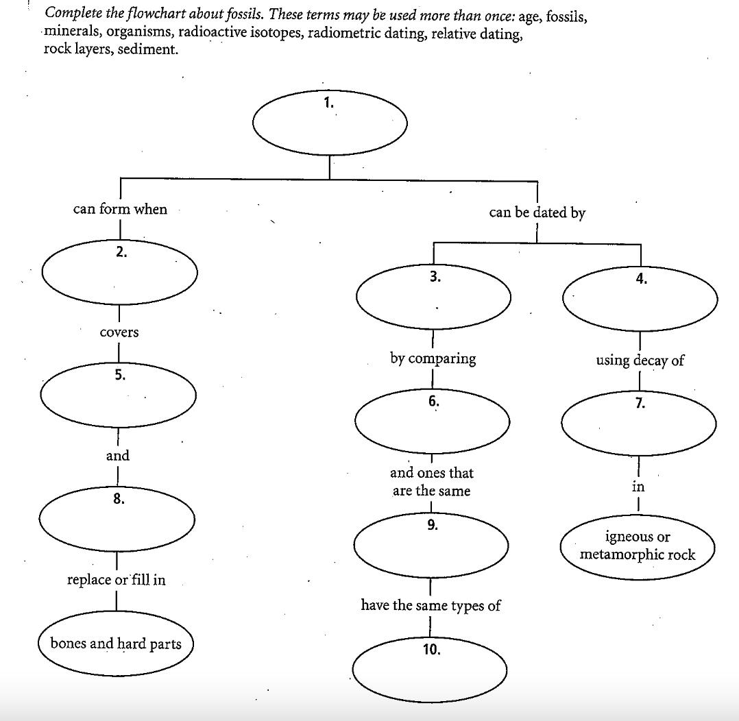 Complete the flowchart about fossils. These terms may be used more than once: age, fossils,
minerals, organisms, radioactive isotopes, radiometric dating, relative dating,
rock layers, sediment.
1.
can form when
can be dated by
2.
3.
4.
Covers
by comparing
using decay of
5.
6.
7.
and
and ones that
are the same
in
8.
9.
igneous or
metamorphic rock
replace or fill in
have the same types of
bones and hard parts
10.
