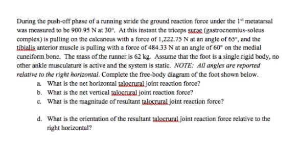 During the push-off phase of a running stride the ground reaction force under the 1* metatarsal
was measured to be 900.95 N at 30°. At this instant the triceps surae (gastrocnemius-soleus
complex) is pulling on the calcaneus with a force of 1,222.75 N at an angle of 65°, and the
tibialis anterior muscle is pulling with a force of 484.33 N at an angle of 60° on the medial
cuneiform bone. The mass of the runner is 62 kg. Assume that the foot is a single rigid body, no
other ankle musculature is active and the system is static. NOTE: All angles are reported
relative to the right horizontal. Complete the free-body diagram of the foot shown below.
a. What is the net horizontal talocrural joint reaction force?
b. What is the net vertical talocrural joint reaction force?
c. What is the magnitude of resultant talocnural joint reaction force?
d. What is the orientation of the resultant țalocrural joint reaction force relative to the
right horizontal?
