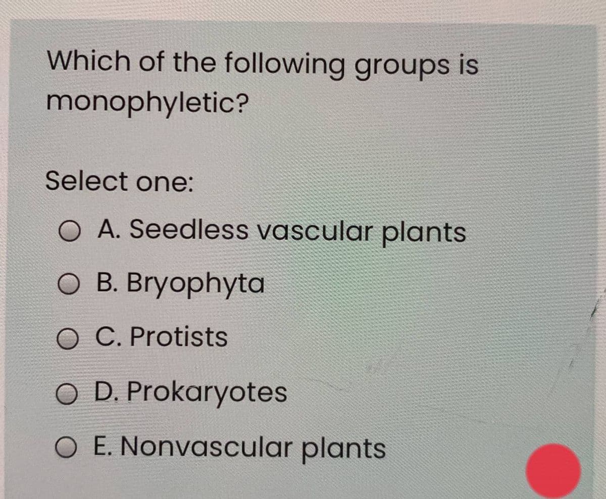 Which of the following groups is
monophyletic?
Select one:
A. Seedless vascular plants
O B. Bryophyta
O C. Protists
O D. Prokaryotes
O E. Nonvascular plants
