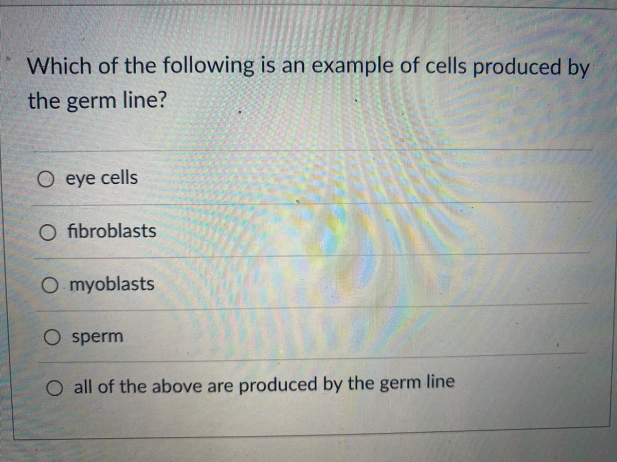 Which of the following is an example of cells produced by
the germ line?
O eye cells
O fibroblasts
O myoblasts
O sperm
O all of the above are produced by the germ line