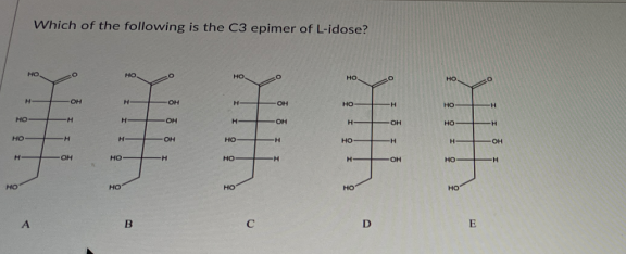 Which of the following is the C3 epimer of L-idose?
HO
HO
HO
HO
-OH
OH
HO
HO
HO
-H
OH
H-
OH
H
но
HO
--
OH
но-
но
--
-OH
-HO-
но-
H-
HO
HO
H-
HO
HO
но
HO
HO
D.
