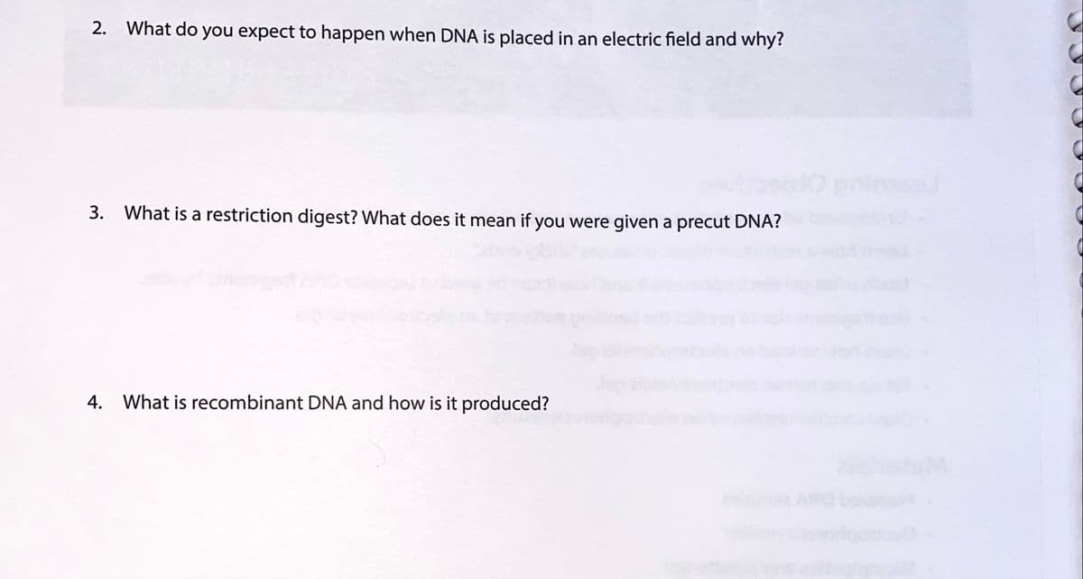 2. What do you expect to happen when DNA is placed in an electric field and why?
3. What is a restriction digest? What does it mean if you were given a precut DNA?
4. What is recombinant DNA and how is it produced?
