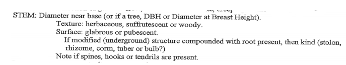 STEM: Diameter near base (or if a tree, DBH or Diameter at Breast Height).
Texture: herbaceous, suffrutescent or woody.
Surface: glabrous or pubescent.
If modified (underground) structure compounded with root present, then kind (stolon,
rhizome, corm, tuber or bulb?)
Note if spines, hooks or tendrils are present.
