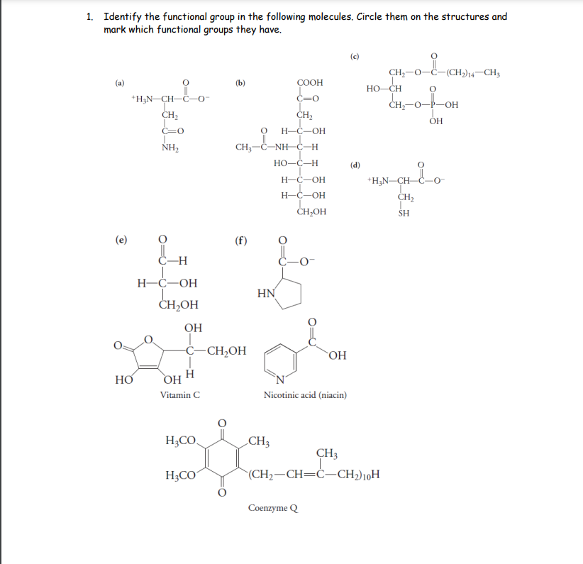 1. Identify the functional group in the following molecules. Circle them on the structures and
mark which functional groups they have.
(a)
Ⓡ
+H₂N-CH-
HO
CO
CH₂
C=0
NH₂
C-H
H-C-OH
CH₂OH
OH
H
OH
Vitamin C
-C-CH₂OH
H₂CO
(b)
H₂CO
CH3
(f)
_NH CH
HO-C-H
HN
COOH
C=O
CH₂
H-C-OH
CH3
H-C-OH
H-C-OH
CH₂OH
Nicotinic acid (niacin)
OH
Coenzyme Q
(c)
(d)
CH,-O- 1-(CH₂)
HỌ–CH
CH3
(CH₂-CH=C-CH₂) 10H
+H₂N-CH-
O
CH,—O- -OH
OH
مل
CH₂
SH
-(CH₂)14-CH3