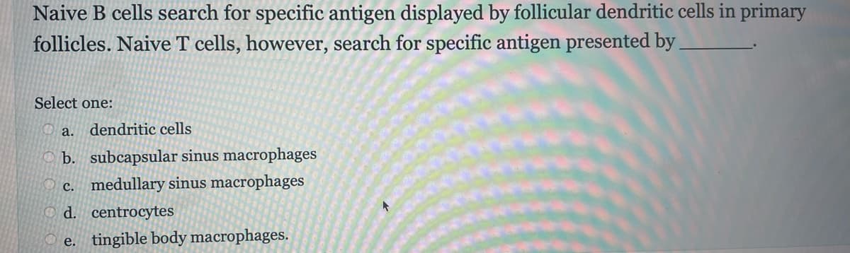Naive B cells search for specific antigen displayed by follicular dendritic cells in primary
follicles. Naive T cells, however, search for specific antigen presented by
Select one:
a. dendritic cells
b. subcapsular sinus macrophages
c. medullary sinus macrophages
Od. centrocytes
e. tingible body macrophages.