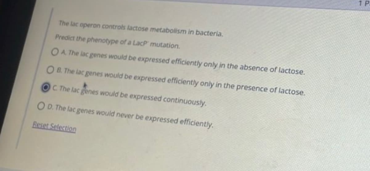 The lac operon controls lactose metabolism in bacteria.
Predict the phenotype of a LacP mutation.
OA. The lac genes would be expressed efficiently only in the absence of lactose.
OB. The lac genes would be expressed efficiently only in the presence of lactose.
C. The lac genes would be expressed continuously.
OD. The lac genes would never be expressed efficiently.
Reset Selection
1 P