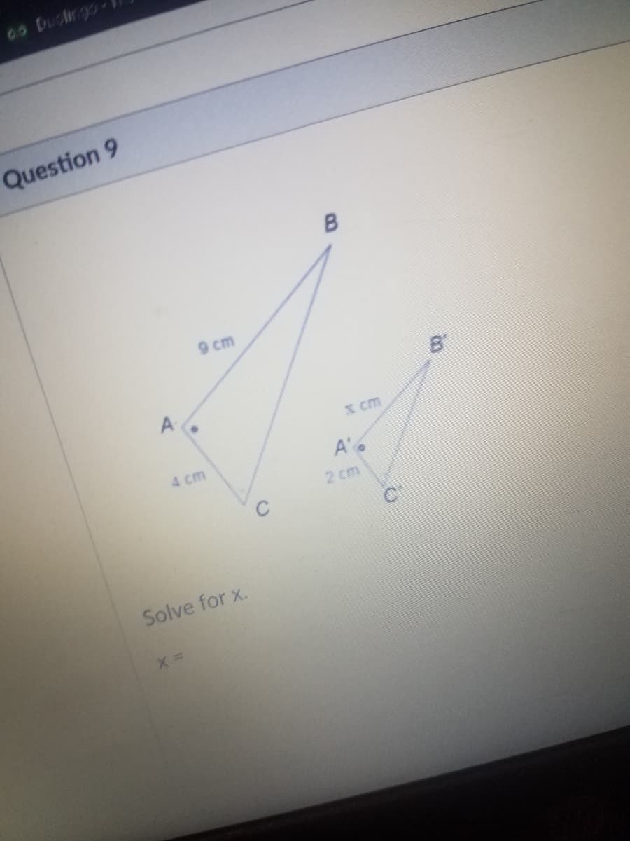 00 Ducingo-
Question 9
9 cm
B'
A
x cm
4 cm
A'
2 cm
Solve for x.
