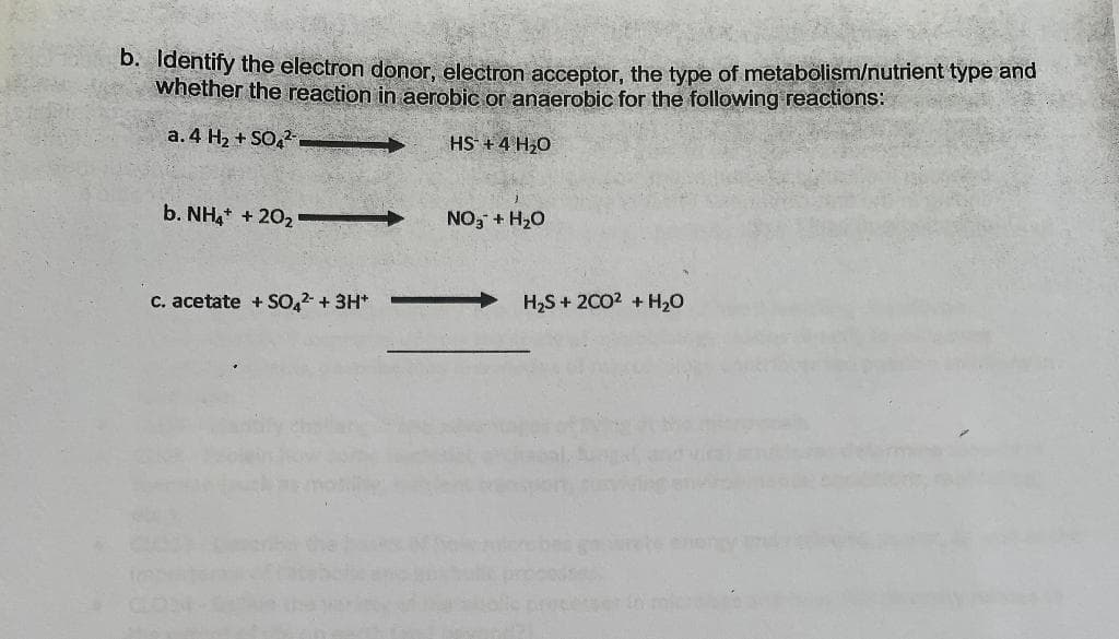 b. Identify the electron donor, electron acceptor, the type of metabolism/nutrient type and
whether the reaction in aerobic or anaerobic for the following reactions:
a. 4 H₂ + SO42-
b. NH4+20₂->>>
c. acetate + SO4²- + 3H+
HS + 4H₂O
NO3 + H₂O
H₂S + 2C0² + H₂O