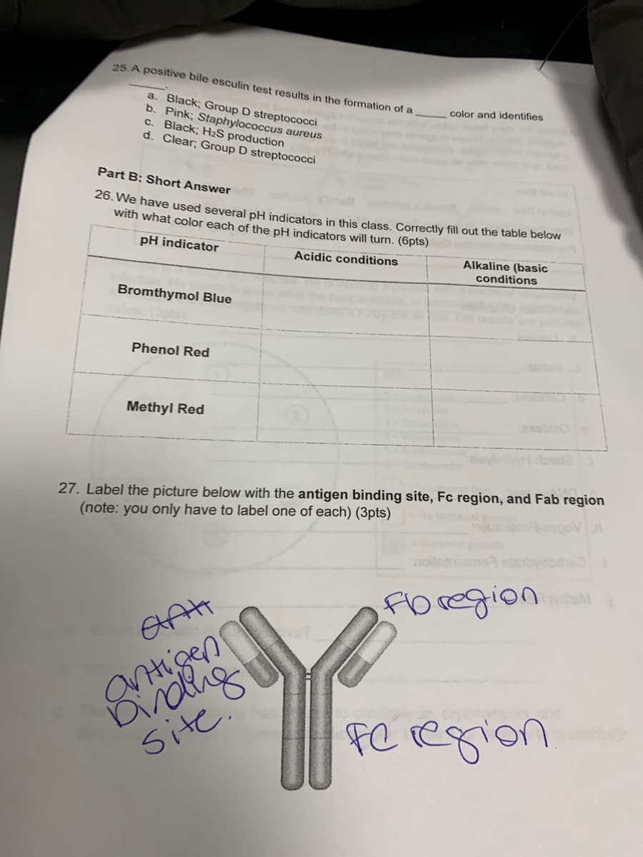 25. A positive bile esculin test results in the formation of a
a.
Black; Group D streptococci
b. Pink; Staphylococcus aureus
c. Black; H₂S production
d. Clear; Group D streptococci
Bromthymol Blue
Part B: Short Answer
26. We have used several pH indicators in this class. Correctly fill out the table below
with what color each of the pH indicators will turn. (6pts)
pH indicator
Acidic conditions
Phenol Red
Methyl Red
yom
AAH
antigen
binding
site.
color and identifies
Y
Alkaline (basic
conditions
27. Label the picture below with the antigen binding site, Fc region, and Fab region
(note: you only have to label one of each) (3pts)
dowala
Fbregion
fe region
J