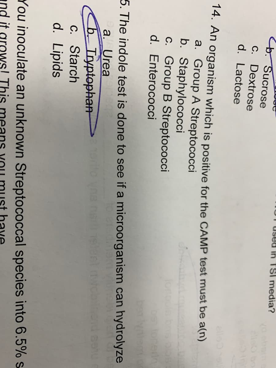 b. Sucrose
c. Dextrose
d. Lactose
used in TSI media?
yd eben a
alle 18
14. An organism which is positive for the CAMP test must be a(n)
a. Group A Streptococci
b. Staphylococci
c. Group B Streptococci
Enterococci
d.
lortools bos bloss
os tonteria
bet
5. The indole test is done to see if a microorganism can hydrolyze
Da. Urea
b. Tryptophan
c. Starch
d. Lipids
You inoculate an unknown Streptococcal species into 6.5% s
and it grows! This