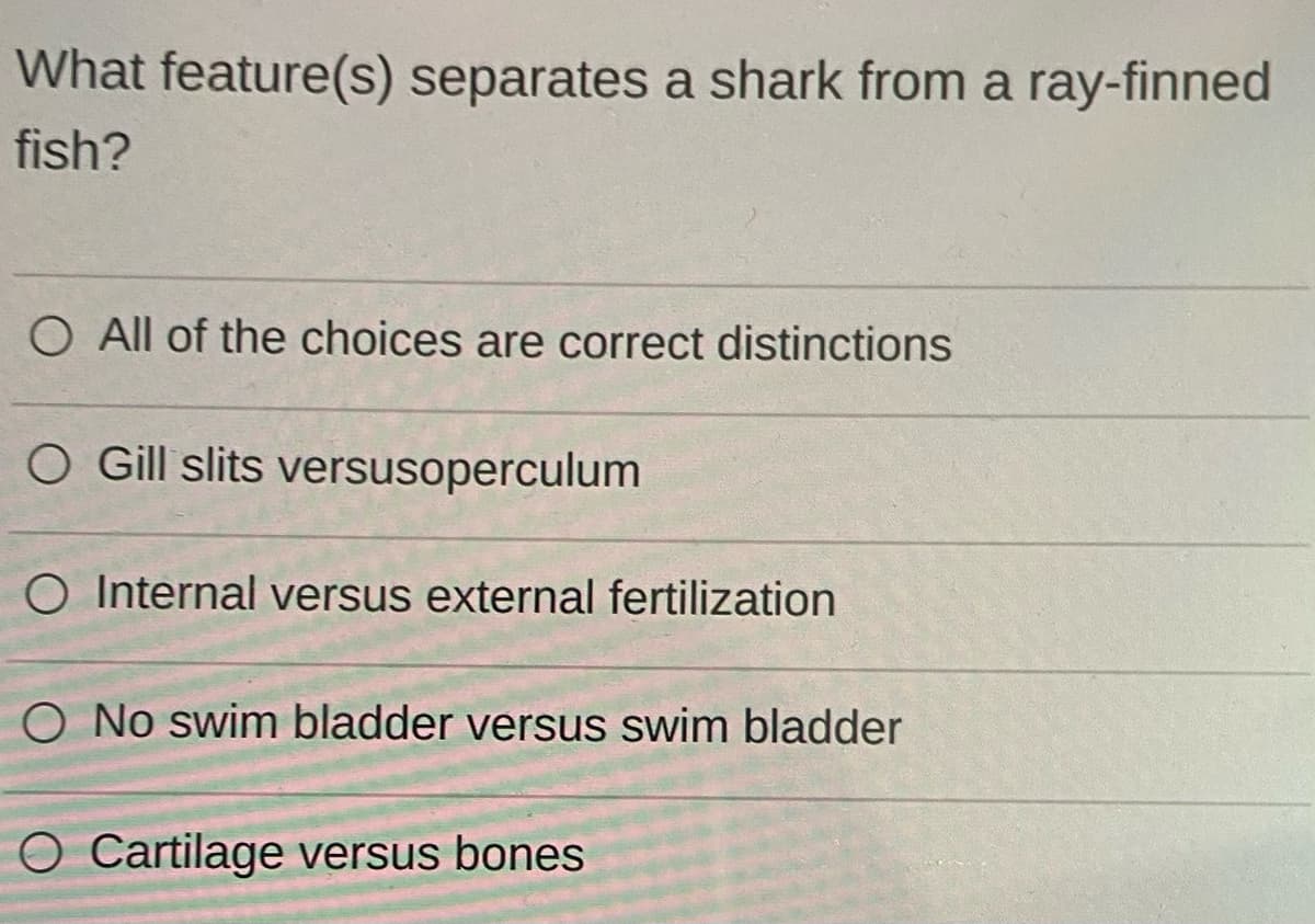 What feature(s) separates a shark from a ray-finned
fish?
O All of the choices are correct distinctions
O Gill slits versusoperculum
O Internal versus external fertilization
O No swim bladder versus swim bladder
O Cartilage versus bones
