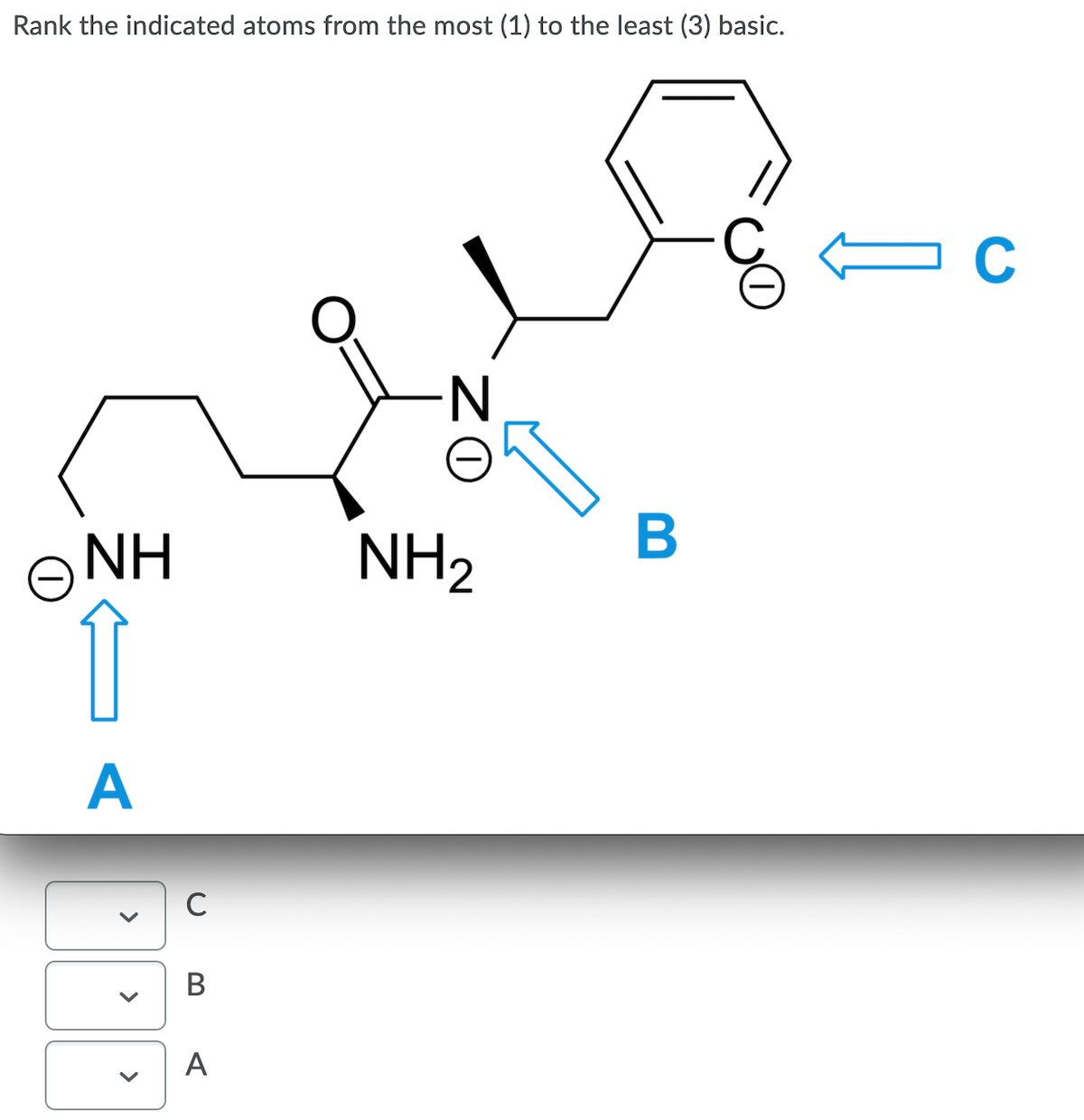 Rank the indicated atoms from the most (1) to the least (3) basic.
N-
ONH
NH2
В
A
В
A
>
>
