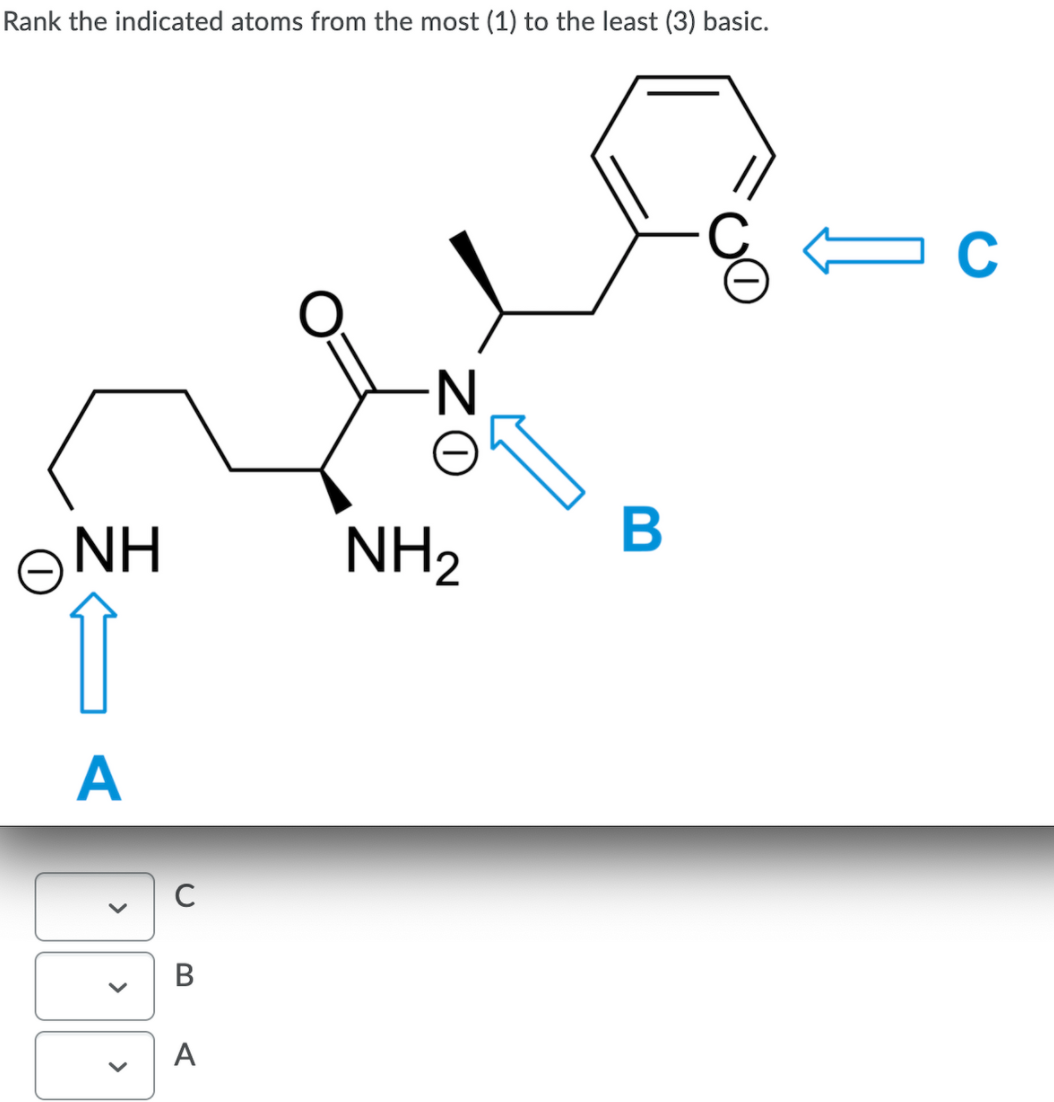 Rank the indicated atoms from the most (1) to the least (3) basic.
C
В
ONH
NH2
A
C
В
A
>
>
>
