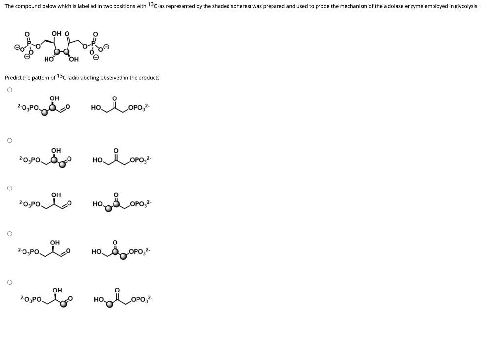 The compound below which is labelled in two positions with 13c (as represented by the shaded spheres) was prepared and used to probe the mechanism of the aldolase enzyme employed in glycolysis.
OH O
Predict the pattern of 13c radiolabelling observed in the products:
OH
HO
он
20,PO O
LOPO,?
но,
OH
20,PO
но.
Hక్కి
OH
20,PO
Но,
он
20;PO,
HO.
LOPO,2-
