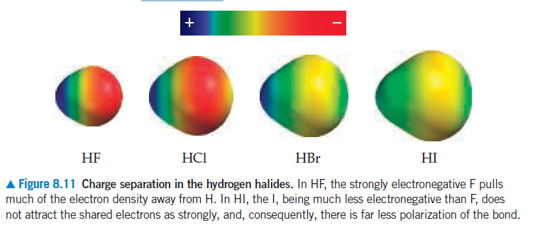 +
-
HF
HCI
HBr
HI
A Figure 8.11 Charge separation in the hydrogen halides. In HF, the strongly electronegative F pulls
much of the electron density away from H. In HI, the I, being much less electronegative than F, does
not attract the shared electrons as strongly, and, consequently, there is far less polarization of the bond.
