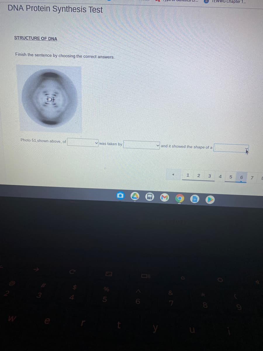 TEWWG Chapter 1.
DNA Protein Synthesis Test
STRUCTURE OF DNA
Finish the sentence by choosing the correct answers.
Photo 51,shown above, of
v was taken by
and it showed the shape of a
3
4.
6
7 8
%
&
