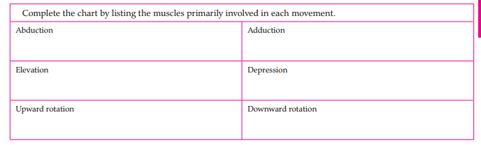 Complete the chart by listing the muscles primarily involved in each movement.
Abduction
Adduction
Elevation
Depression
Upward rotation
Downward rotation
