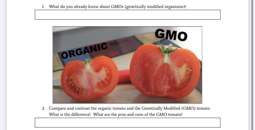 1. What do you already know about GMOS (genetically modified organisms)?
GMO
ORGANIC
2. Compare and contrast the organic tomato and the Genetically Modified (GMO) tomato.
What is the difference? What are the pros and cons of the GMO tomato?
