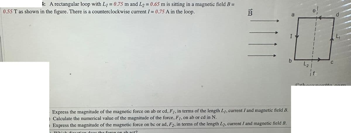 1: A rectangular loop with Ly = 0.75 m and L₂ = 0.65 m is sitting in a magnetic field B =
0.55 T as shown in the figure. There is a counterclockwise current I = 0.75 A in the loop.
B
1!1
Express the magnitude of the magnetic force on ab or cd, F1, in terms of the length Ly, current I and magnetic field B.
) Calculate the numerical value of the magnitude of the force, F1, on ab or cd in N.
Express the magnitude of the magnetic force on bc or ad, F2, in terms of the length L2, current I and magnetic field B.
Which dirogtion does the force on ab act?
a
I
b
L₂
B
C
d
4
theeynortto com