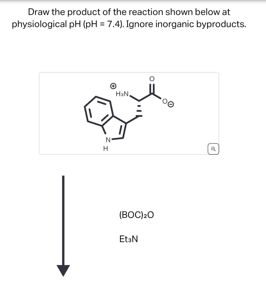 Draw the product of the reaction shown below at
physiological pH (pH = 7.4). Ignore inorganic byproducts.
N
ΖΙ
H
H3N
(BOC)20
Et3N
Q