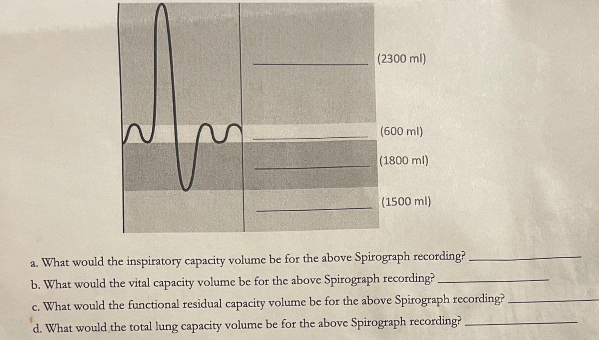 (2300 ml)
(600 ml)
(1800 ml)
(1500 ml)
a. What would the inspiratory capacity volume be for the above Spirograph recording?
b. What would the vital capacity volume be for the above Spirograph recording?
c. What would the functional residual capacity volume be for the above Spirograph recording?
d. What would the total lung capacity volume be for the above Spirograph recording?
