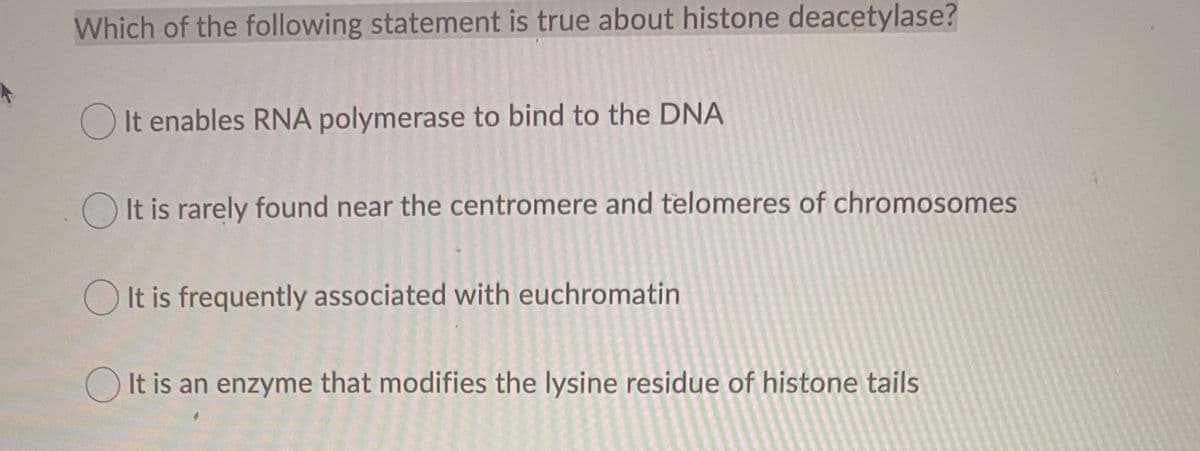 Which of the following statement is true about histone deacetylase?
It enables RNA polymerase to bind to the DNA
O It is rarely found near the centromere and telomeres of chromosomes
O It is frequently associated with euchromatin
O It is an enzyme that modifies the lysine residue of histone tails
