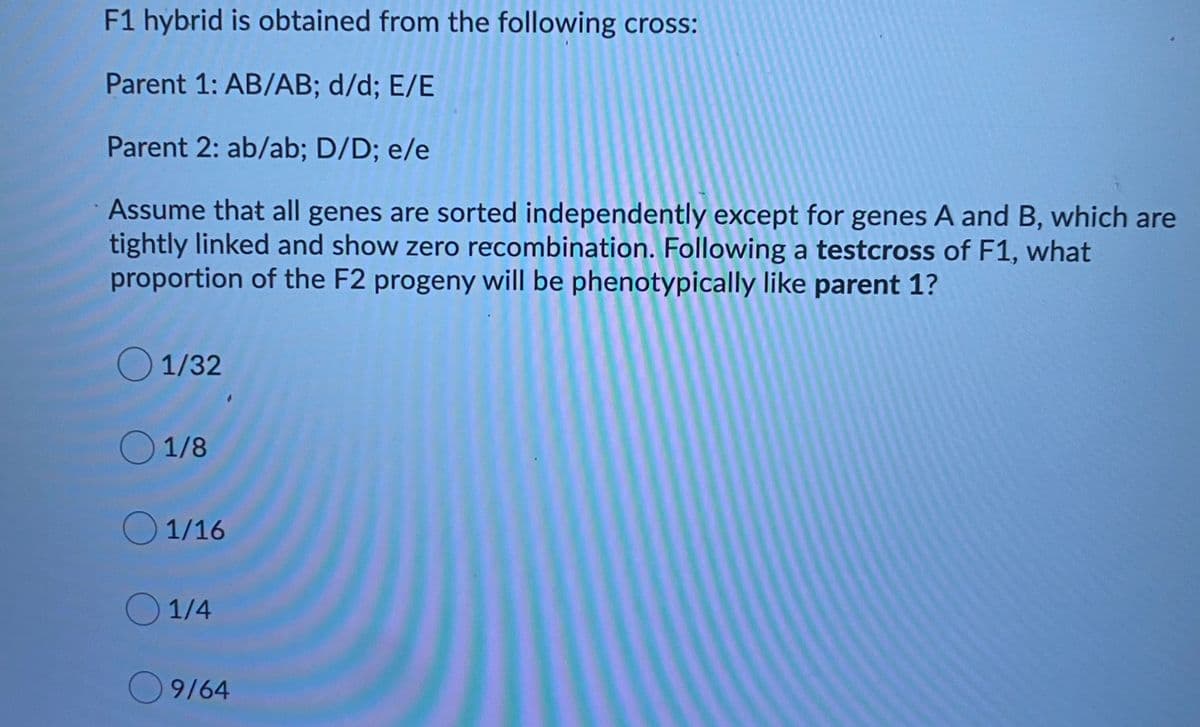 F1 hybrid is obtained from the following cross:
Parent 1: AB/AB; d/d; E/E
Parent 2: ab/ab; D/D; e/e
Assume that all genes are sorted independently except for genes A and B, which are
tightly linked and show zero recombination. Following a testcross of F1, what
proportion of the F2 progeny will be phenotypically like parent 1?
O 1/32
1/8
O 1/16
O 1/4
O9/64
