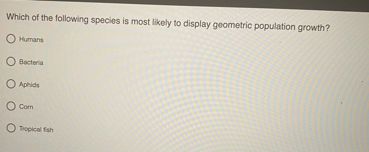 Which of the following species is most likely to display geometric population growth?
O Humans
O Bacteria
O Aphids
O Corn
O Tropical fish
