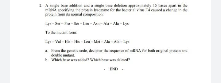 2. A single base addition and a single base deletion approximately 15 bases apart in the
MRNA specifying the protein lysozyme for the bacterial virus T4 caused a change in the
protein from its normal composition:
Lys – Ser - Pro - Ser - Leu- Asn-Ala - Ala - Lys
To the mutant form:
Lys - Val - His- His - Leu - Met- Ala-Ala- Lys
a. From the genetic code, decipher the sequence of mRNA for both original protein and
double mutant.
b. Which base was added? Which base was deleted?
· END -
