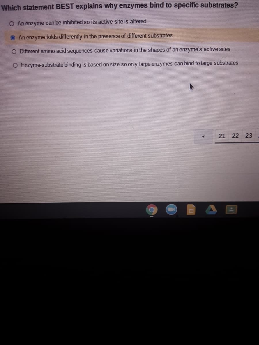 Which statement BEST explains why enzymes bind to specific substrates?
O An enzyme can be inhibited so its active site is altered
O An enzyme folds differently in the presence of different substrates
O Different amino acid sequences cause variations in the shapes of an enzyme's active sites
O Enzyme-substrate binding is based on size so only large enzymes can bind to large substrates
21 22 23
