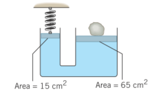 Area = 15 cm2
Area
65 cm2
%3D
%3D
