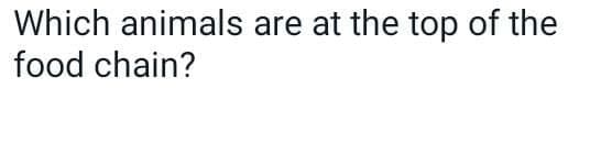 Which animals are at the top of the
food chain?

