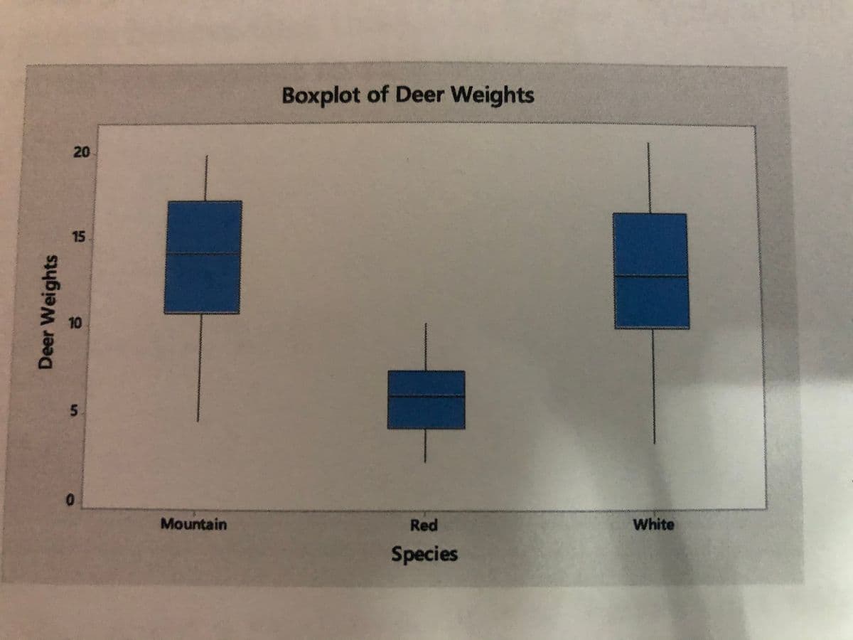 Boxplot of Deer Weights
20
15
0.
Mountain
Red
White
Species
Deer Weights
10
