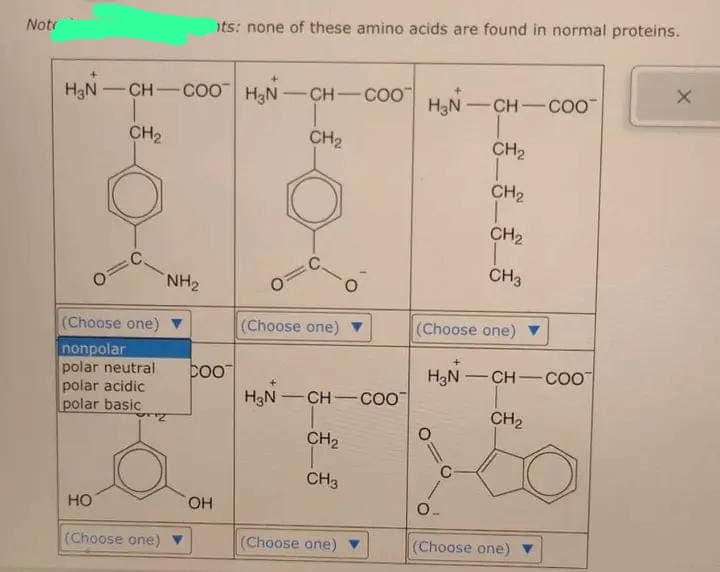 Notr
H₂N-CH-COOH₂N-CH-COO
(=
CH₂
(Choose one)
nonpolar
polar neutral
polar acidic
polar basic
HO
orry
(Choose one)
NH₂
its: none of these amino acids are found in normal proteins.
COOT
OH
CH₂
(Choose one)
-
H3N CH-COO
CH₂
CH3
(Choose one)
H₂N-CH-COO
CH₂
CH₂
(Choose one)
H3N
O
C
O_
CH₂
CH3
-
-CH-COO™
CH₂
(Choose one)
X