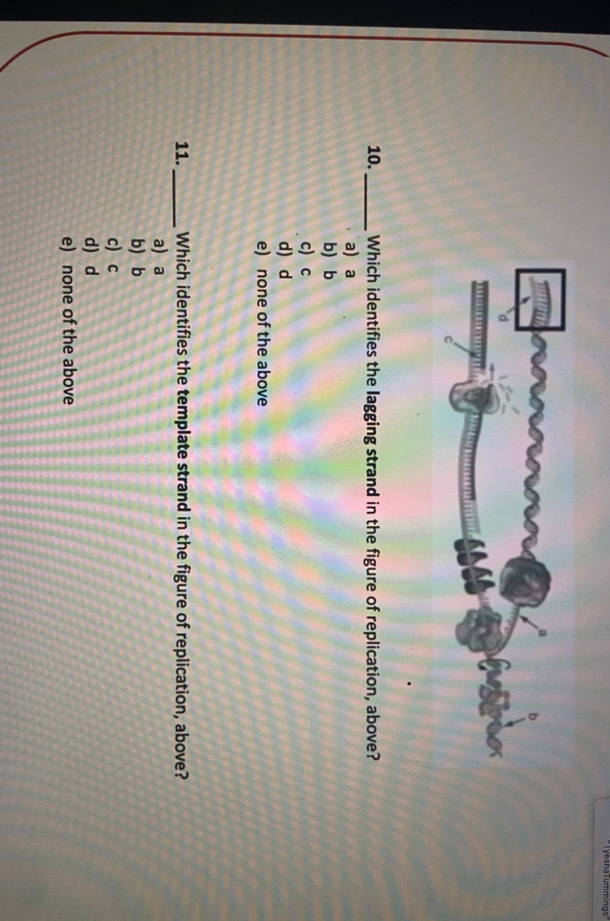 "TyeshaTummings"
Which identifies the lagging strand in the figure of replication, above?
a) a
b) b
c) c
d) d
e) none of the above
10.
Which identifies the template strand in the figure of replication, above?
a) a
b) b
с) с
d) d
e) none of the above
11.
