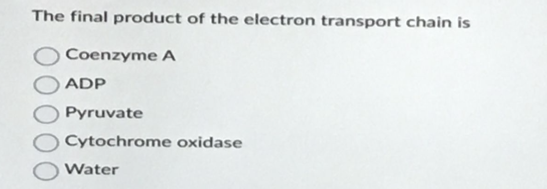 The final product of the electron transport chain is
Coenzyme A
ADP
Pyruvate
Cytochrome oxidase
Water