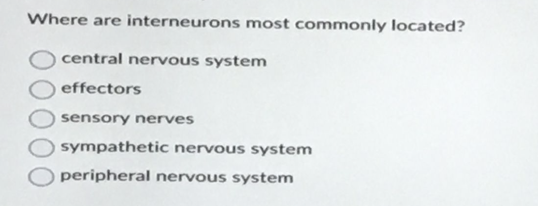 Where are interneurons most commonly located?
central nervous system
effectors
sensory nerves
sympathetic nervous system
peripheral nervous system