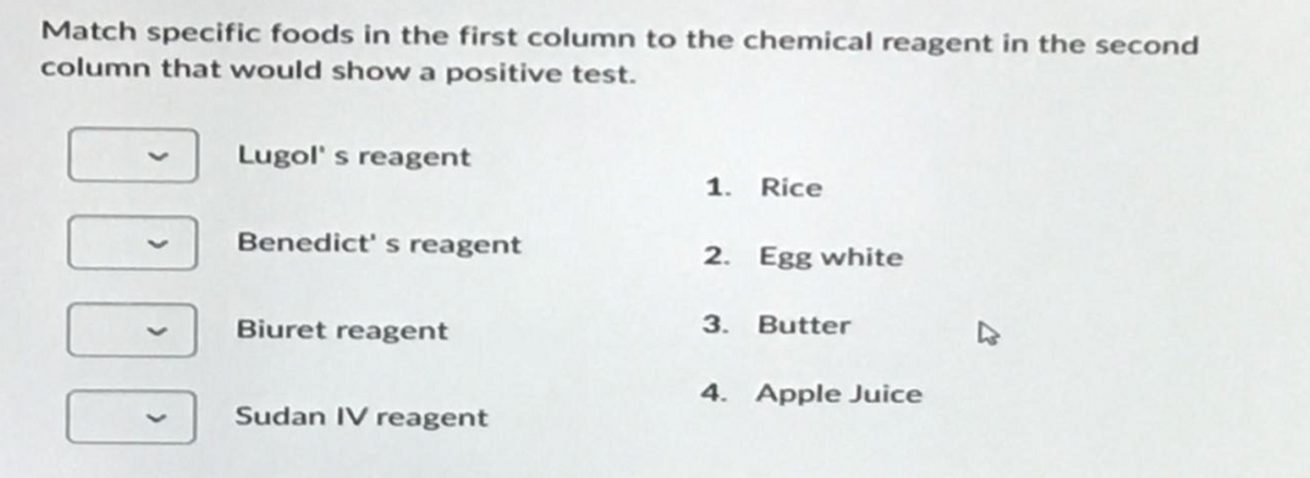 Match specific foods in the first column to the chemical reagent in the second
column that would show a positive test.
DDDD
Lugol's reagent
Benedict's reagent
Biuret reagent
Sudan IV reagent
1. Rice
2. Egg white
3. Butter
4. Apple Juice