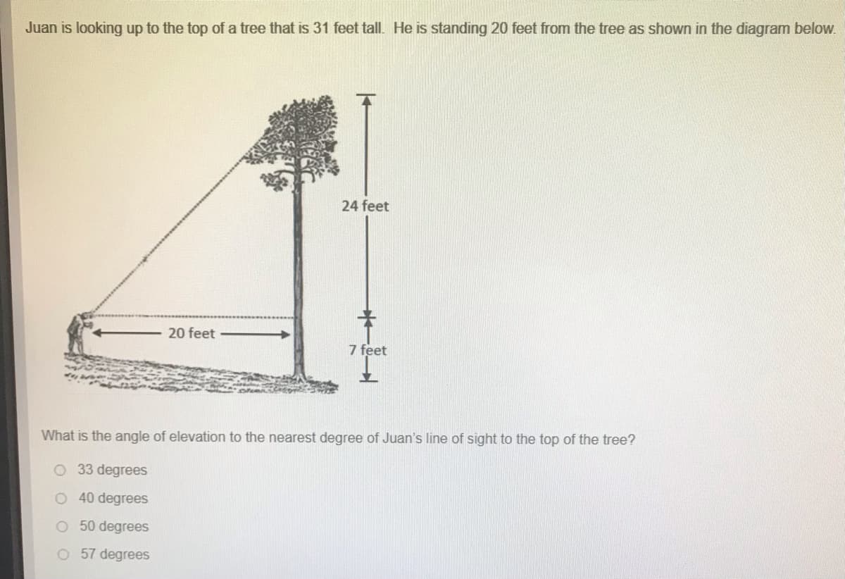 Juan is looking up to the top of a tree that is 31 feet tall. He is standing 20 feet from the tree as shown in the diagram below.
24 feet
20 feet
7 feet
What is the angle of elevation to the nearest degree of Juan's line of sight to the top of the tree?
O 33 degrees
O 40 degrees
O 50 degrees
O 57 degrees
