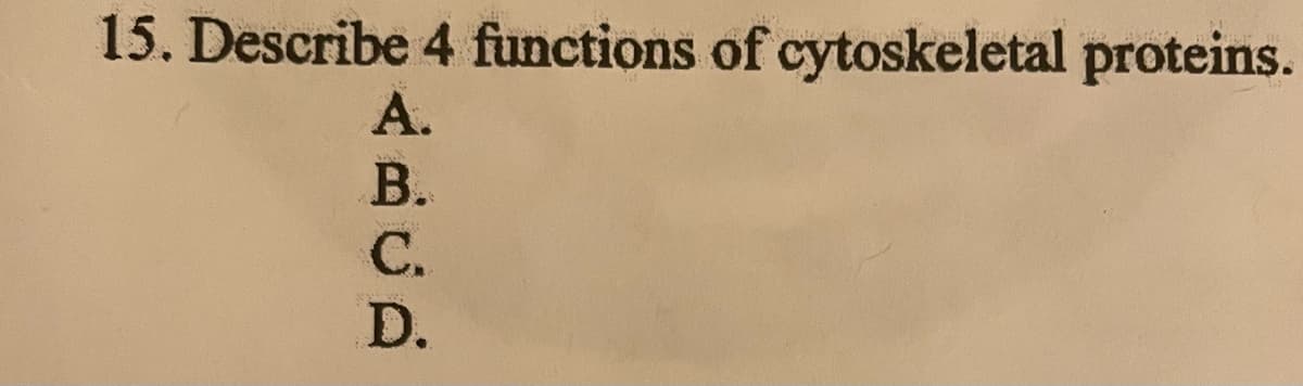 15. Describe 4 functions of cytoskeletal proteins.
А.
В.
С.
D.
