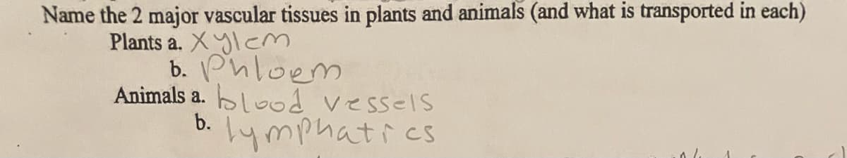 Name the 2 major vascular tissues in plants and animals (and what is transported in each)
Plants a. Xylcm
b. Phloem
Animals a. blood vessels
b.
ymphatics
