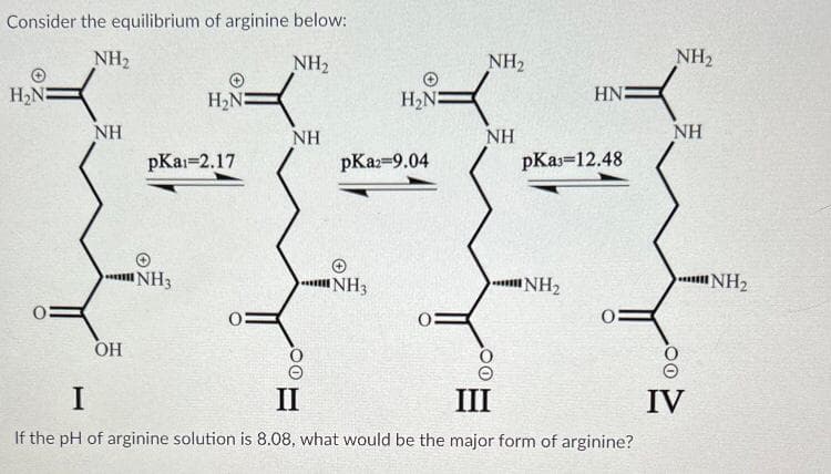 Consider the equilibrium of arginine below:
NH₂
NH₂
H₂N:
NH
OH
H₂N-
pKa=2.17
NH3
NH
H₂NE
pKa2=9.04
NH3
03
NH₂
NH
HN:
pka 12.48
NH₂
I
II
III
If the pH of arginine solution is 8.08, what would be the major form of arginine?
NH₂
NH
00
IV
NH₂