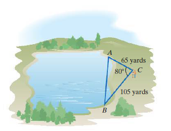 A
65 yards
80°
C
105 yards
