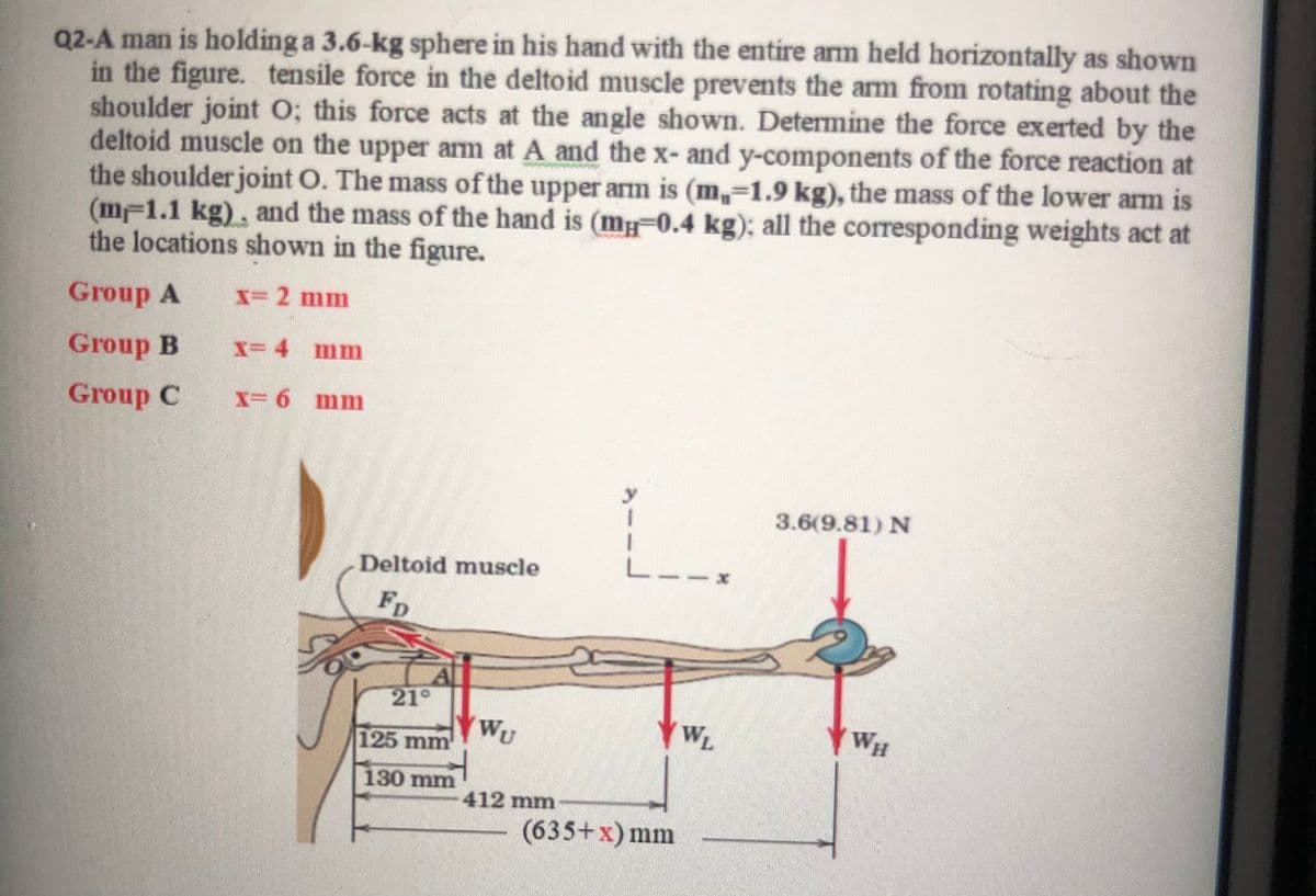 Q2-A man is holding a 3.6-kg sphere in his hand with the entire arm held horizontally as shown
in the figure. tensile force in the deltoid muscle prevents the arm from rotating about the
shoulder joint O; this force acts at the angle shown. Determine the force exerted by the
deltoid muscle on the upper am at A and the x- and y-components of the force reaction at
the shoulder joint O. The mass of the upper arm is (m,-1.9 kg), the mass of the lower arm is
(m-1.1 kg), and the mass of the hand is (mg-0.4 kg); all the corresponding weights act at
the locations shown in the figure.
Group A
X=2 mm
Group B
X= 4
mmm
Group C
y
3.6(9.81) N
Deltoid muscle
FD
21°
Wy
125 mm
WL
WH
130 mm
412 mm
(635+x) mm
