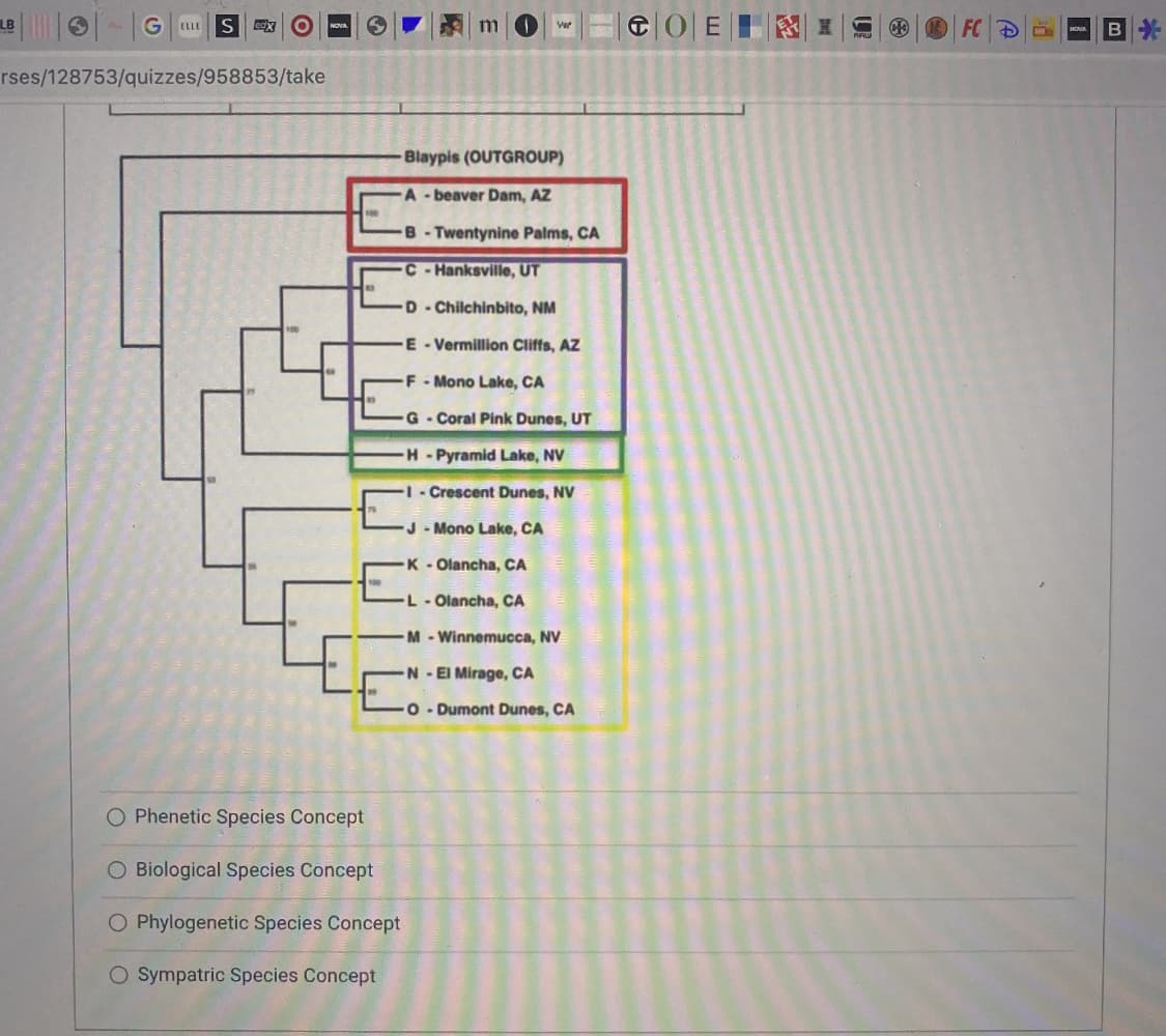 G
ELLE S edx
rses/128753/quizzes/958853/take
E
Phenetic Species Concept
O Biological Species Concept
O Phylogenetic Species Concept
O Sympatric Species Concept
Blaypis (OUTGROUP)
A-beaver Dam, AZ
-B-Twentynine Palms, CA
C-Hanksville, UT
D-Chilchinbito, NM
E-Vermillion Cliffs, AZ
F-Mono Lake, CA
G-Coral Pink Dunes, UT
W
H-Pyramid Lake, NV
- Crescent Dunes, NV
J-Mono Lake, CA
K-Olancha, CA
L- Olancha, CA
M-Winnemucca, NV
N-El Mirage, CA
O-Dumont Dunes, CA
COEL
FC Đ
B
*